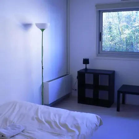 Nickel Et Confortable Apartamento Ruan